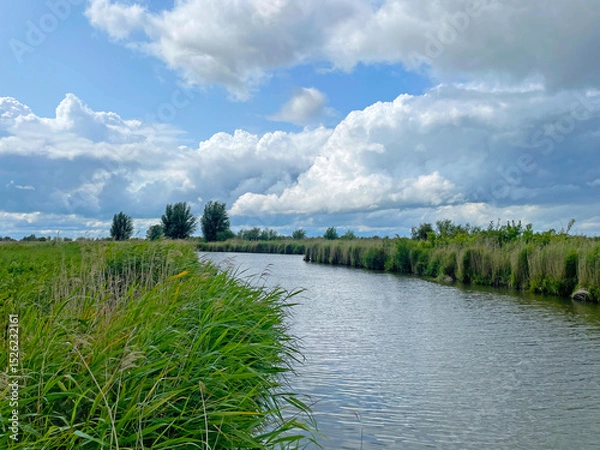 Obraz The edge of a canal in wetland in a cloudy sky in bright sunlight in springtime,  Oostvaardersplassen, Almere, Flevoland, Netherlands, June 07, 2025