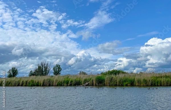 Obraz The edge of a canal in wetland in a cloudy sky in bright sunlight in springtime,  Oostvaardersplassen, Almere, Flevoland, Netherlands, June 07, 2025