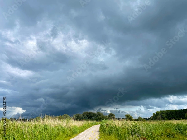 Obraz The edge of a canal in wetland in a cloudy sky in bright sunlight in springtime,  Oostvaardersplassen, Almere, Flevoland, Netherlands, June 07, 2025