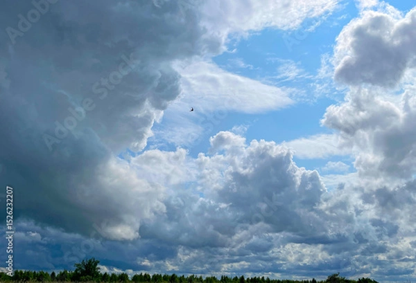 Obraz The edge of a canal in wetland in a cloudy sky in bright sunlight in springtime,  Oostvaardersplassen, Almere, Flevoland, Netherlands, June 07, 2025