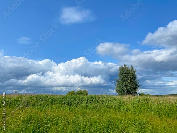 Obraz The edge of a canal in wetland in a cloudy sky in bright sunlight in springtime,  Oostvaardersplassen, Almere, Flevoland, Netherlands, June 07, 2025