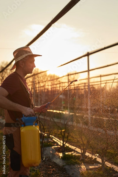 Fototapeta Farmer using pesticide, insecticide and herbicide sprayer sprinkler in an blueberries farm outdoors in springtime, before blooming.
