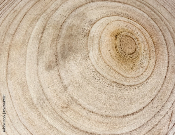 Obraz Cernes de bois