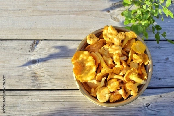 Obraz Bowl with chanterelles on wooden background