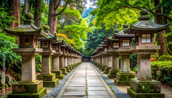 Fototapeta Serene Pathway Through Traditional Lanterns at Scenic Shrine Route