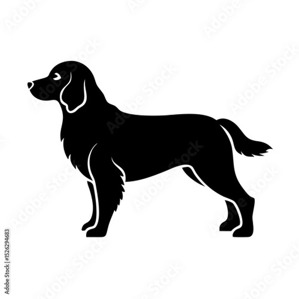 Fototapeta Silhouette of a standing dog with long fur in a side view during a quiet afternoon