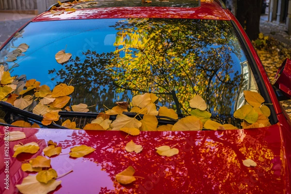 Fototapeta Autumn leaves on red car windshield in city. Yellow autumn leaves scattered across red car windshield reflecting trees, sky. Concept of seasonal contrast, urban autumn, bright reflective moment