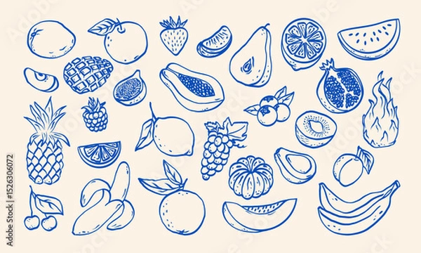 Obraz Hand drawn sketch fruits  and berries vector illustration. Natural tropical fruits. Dragon fruit, papaya, pineapple, watermelon, melon, coconut, citrus, grape, lemon, banana, pomegranate, fig, banana.