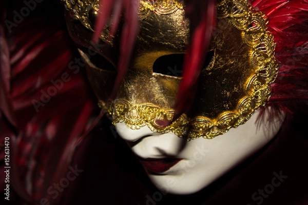 Obraz Venetian Mask