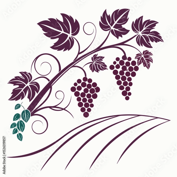 Fototapeta Clean and professional logo design for wine producers using grape clusters and vine elements with soft green leaf accents