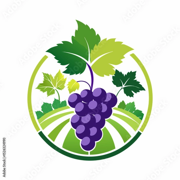 Fototapeta Elegant grape and vine logo designed for a wine production company featuring crisp lines and botanical-inspired details

