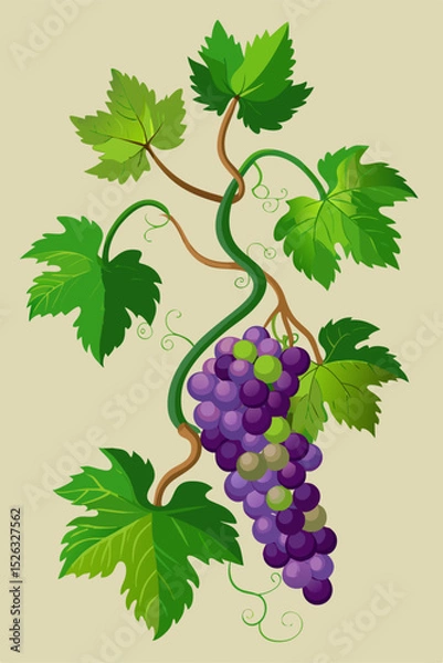 Fototapeta Realistic vector depiction of a grapevine with rich green leaves and ripe grape bunches arranged on winding branches for versatile applications