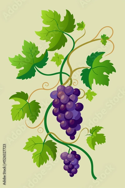 Fototapeta Stylized vector image of a grapevine with intricate leaf patterns and ripe fruit for seamless designs, borders and educational content