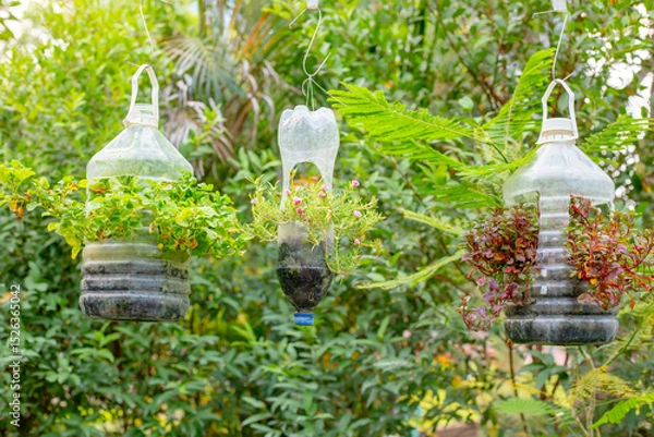 Fototapeta vertical hanging garden bed made from plastic bottles in which various flowers and greenery grow in a tropical garden.