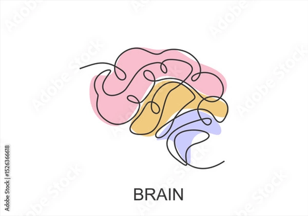 Fototapeta Human Brain in Line Art. line icon-continuous line drawing. Editable stroke.