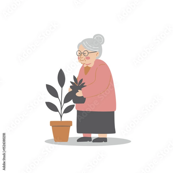 Fototapeta Elderly woman with hair in a bun in a caring mood tending to a potted plant against a white background with copy space