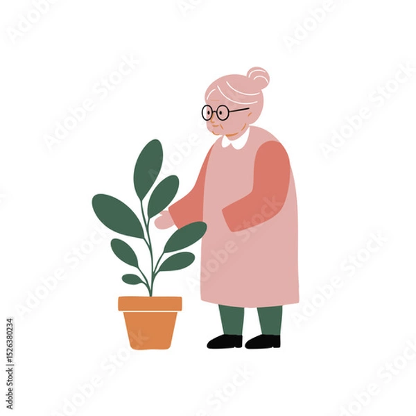 Fototapeta Elderly woman with hair in a bun in a calm and caring mood gently tending to a potted plant against a white background with copy space