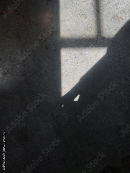 Obraz shadow of a man