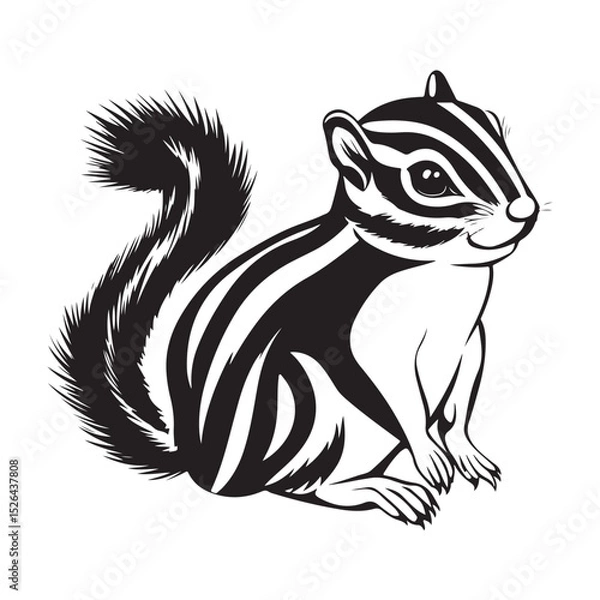 Fototapeta Siberian chipmunk is standing on the ground