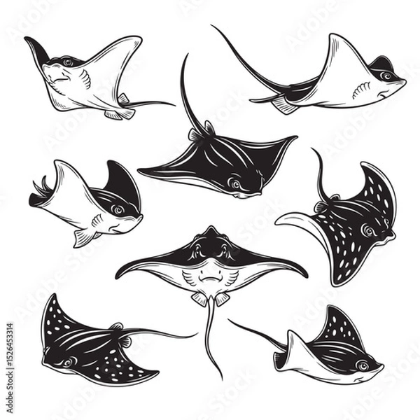Obraz Collection of stingrays and manta rays in black and white vector style. Various swimming poses, perfect for ocean themed art, tattoos, or logos. Fish, Animals.