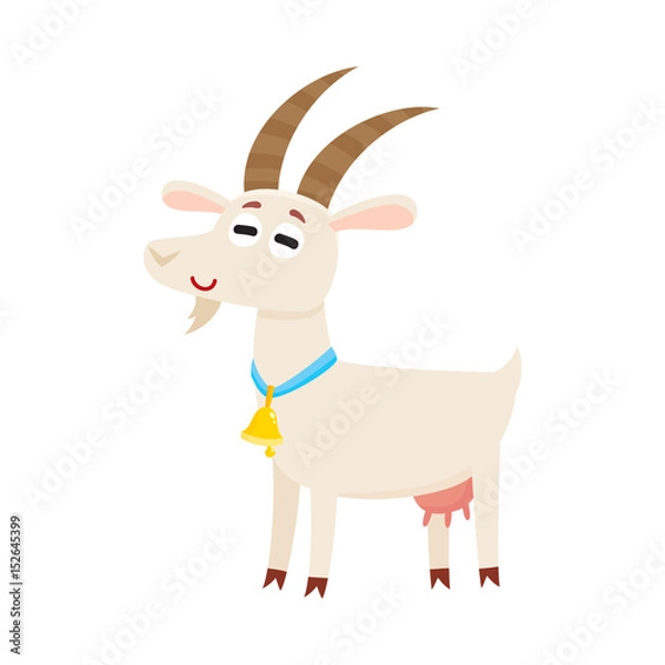 Fototapeta Farm goat with big eyes and horns, wearing bell, cartoon vector illustration isolated on white background. Cute and funny farm goat with friendly face and big eyes