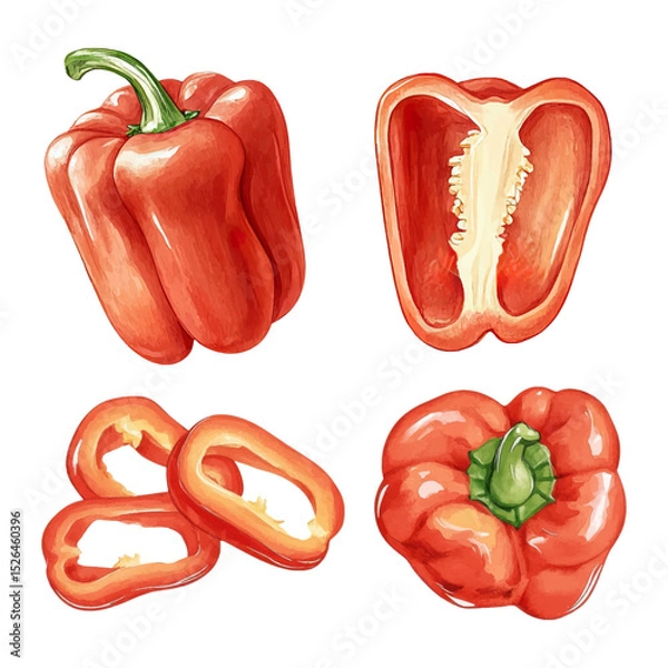 Fototapeta Set of red bell peppers with sliced elements in watercolor style. Vector illustration. 