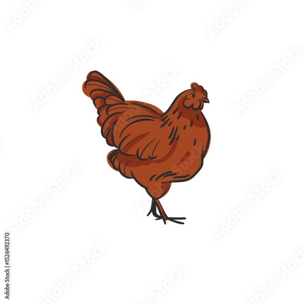 Fototapeta Hand drawn abstract vector graphic illustration collection with cute, stylized domestic animals rooster and hen character.Trendy modern farm design concept.Vector line farm animal symbol. animal icons