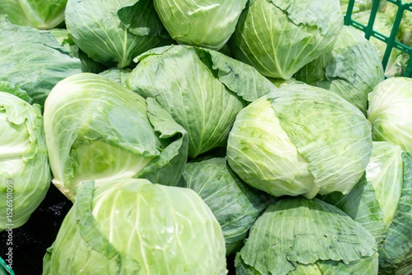 Obraz お店で販売されている新鮮なキャベツの写真