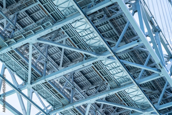 Obraz 大きな鉄橋の裏側の写真