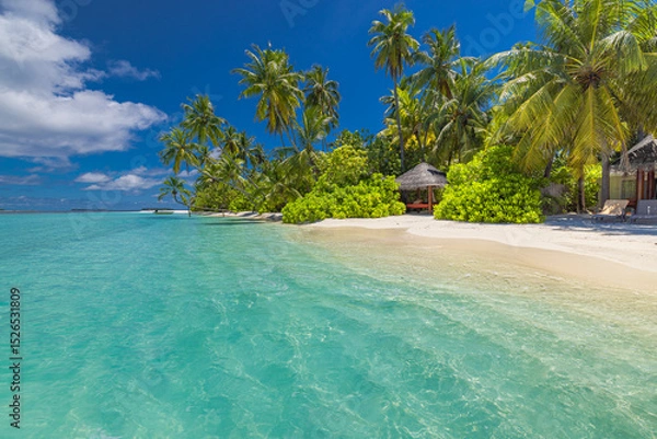 Fototapeta Scenic tropical beach paradise on exotic island. Relaxing palm trees sunny sea sand sky. Luxury summer vibes perfect travel destination for honeymoon coastal adventures. Majestic best tourism nature