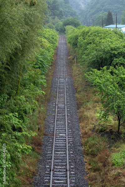 Fototapeta 雨に濡れたわたらせ渓谷鉄道の線路