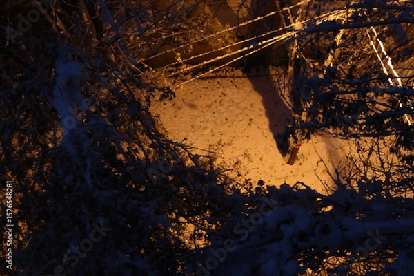Obraz Urban winter landscape after a snowfall.