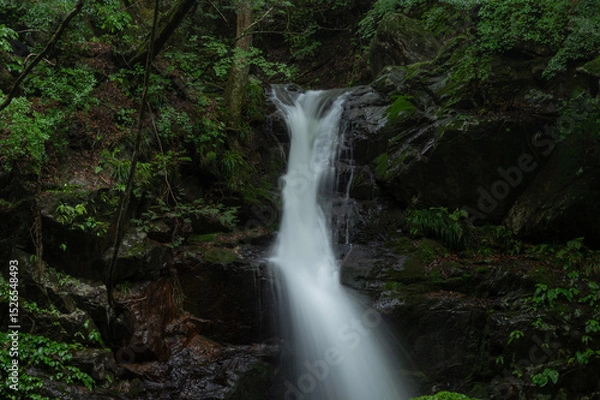 Fototapeta みどり市の不動滝　雨の日の風景