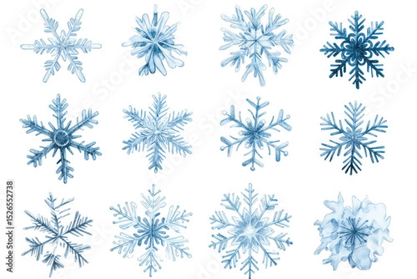 Obraz Set of different snowflakes isolated on white background