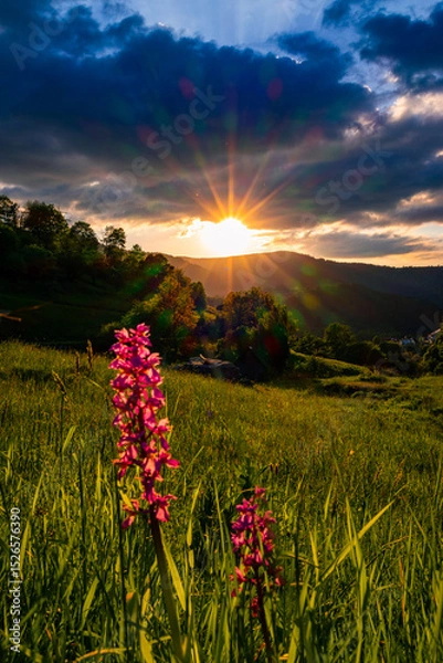 Fototapeta Schwarzwald