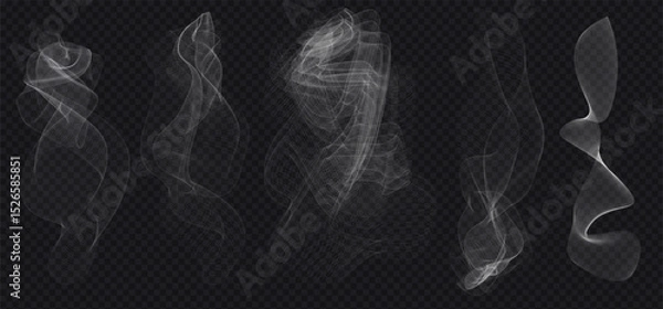 Fototapeta Set of Transparent Abstract Smoke Wave Elements on Dark isolated Background