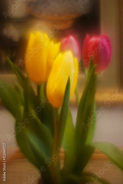 Fototapeta Red and yellow defocused spring flower of tulips in the background. Red, yellow and green colors