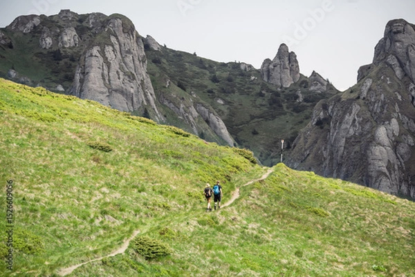 Obraz Carpathian mountain landscape with hiking road towards high cliffs 