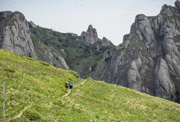Obraz Carpathian mountain landscape with hiking road towards high cliffs 