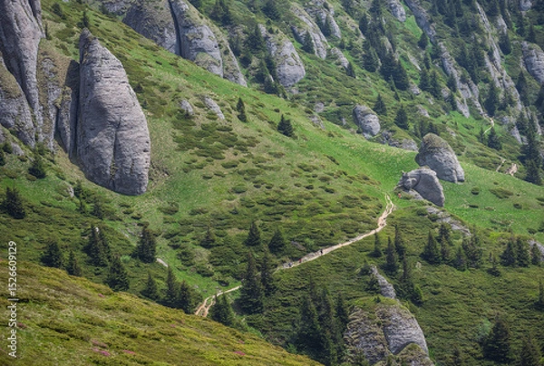 Obraz Carpathian mountain landscape with hiking road towards high cliffs 