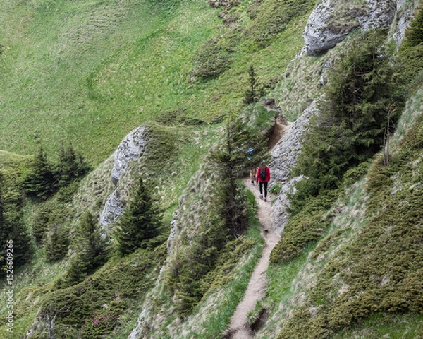 Obraz aerial view of Carpathian mountain hiking trail