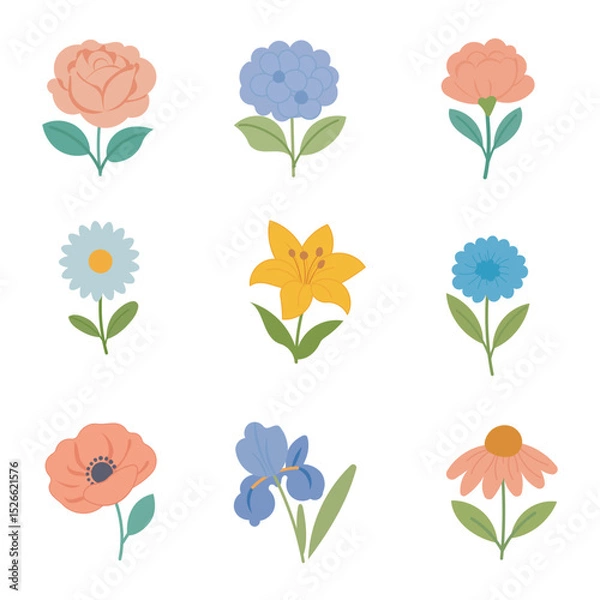 Obraz Assorted Flat Vector Flowers