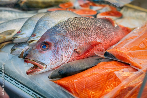 Fototapeta Close-up of various fresh fish and salmon fillets displayed on ice, seafood market. Sale of fresh frozen fish. Open showcases of seafood market. Concept of fresh fish, seafood selection, healthy diet