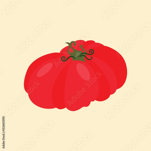 Obraz Set of heirloom tomatoes with green stems different shapes. Flat vector illustration isolated on light background. Colorful vegetable variety. Healthy eating and organic farming concept