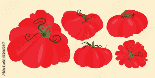 Obraz Set of heirloom tomatoes with green stems different shapes. Flat vector illustration isolated on light background. Colorful vegetable variety. Healthy eating and organic farming concept