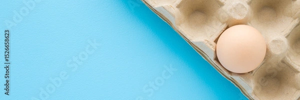Fototapeta Brown egg in carton tray on light blue table background. Pastel color. Closeup. Wide banner. Empty place for text. Top down view.