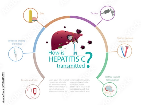 Fototapeta Doctor studying how hepatitis c virus is transmitted