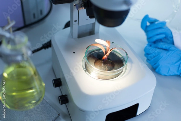 Fototapeta Scientist researching chemistry, technology and biology in laboratory.