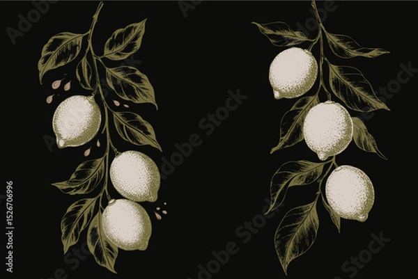 Fototapeta Lemon branches with ripe fruit and leaves create fresh and vibrant design, perfect for culinary or decorative use