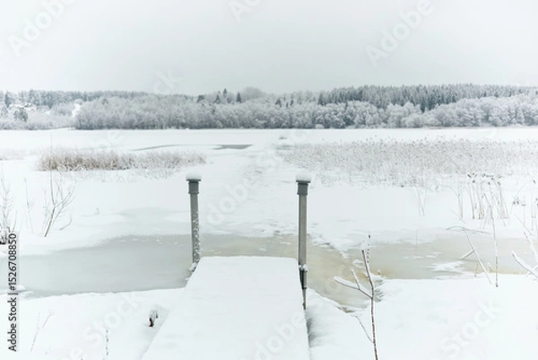 Fototapeta a frozen lake and a forest in frost around the lake, winter fairy tale in the forest, snow-covered tree branches, large flakes of snow are slowly falling, nobody